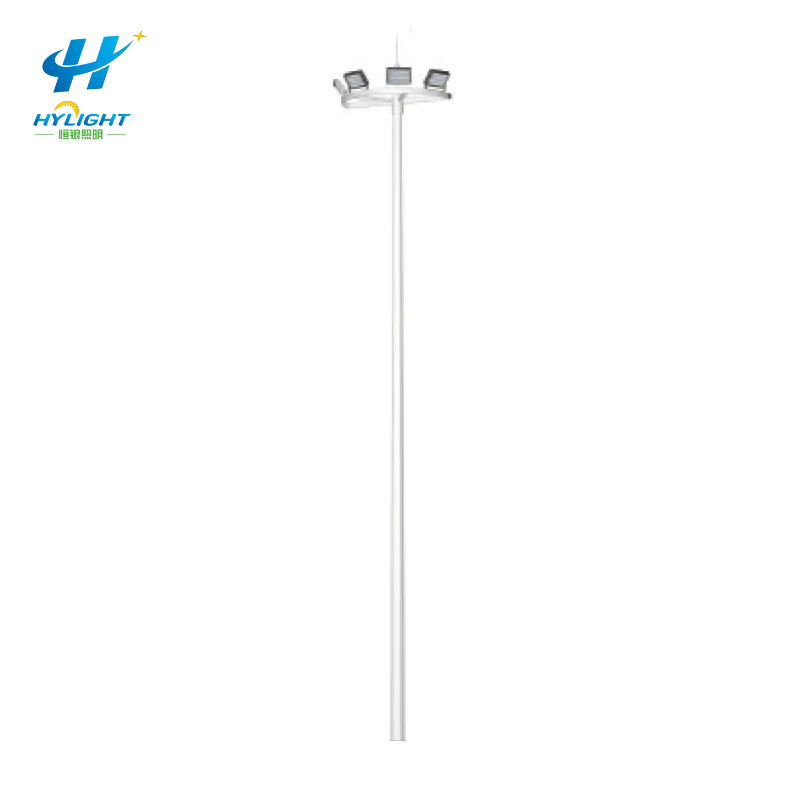 सुरक्षा पिंजरे सीढ़ी के साथ उच्च मस्तूल