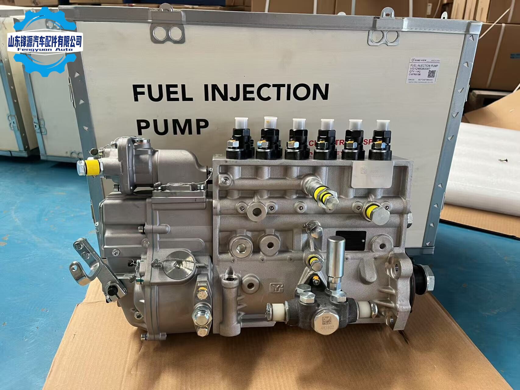 Fuel Injection Pump Assembly