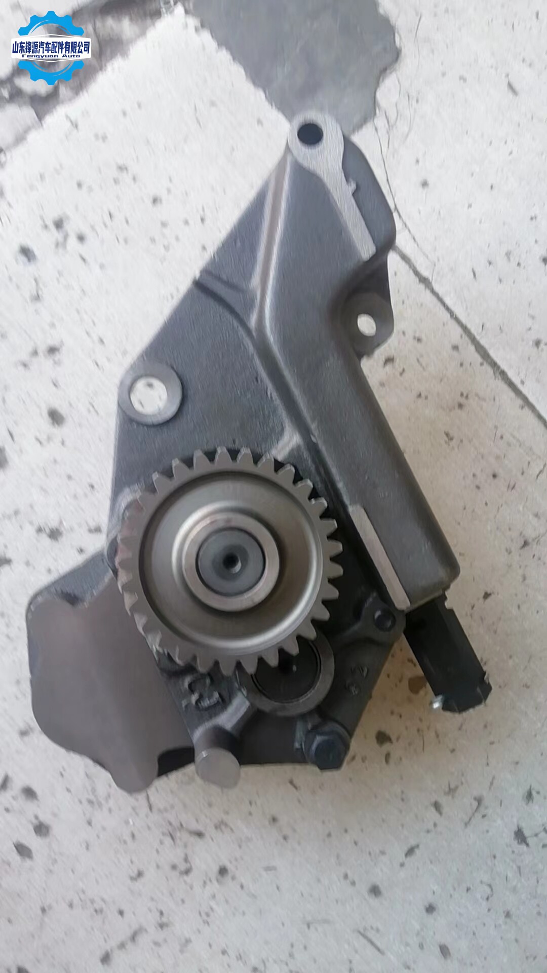 Oil Pump Assembly
