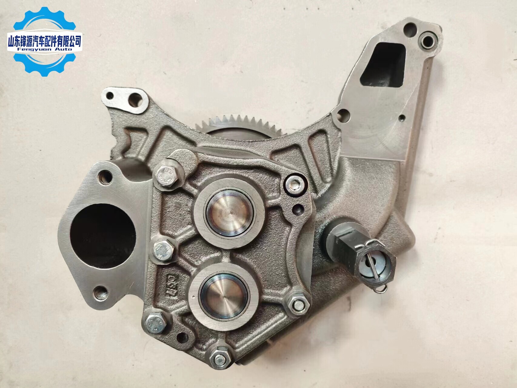 Oil Pump Assembly