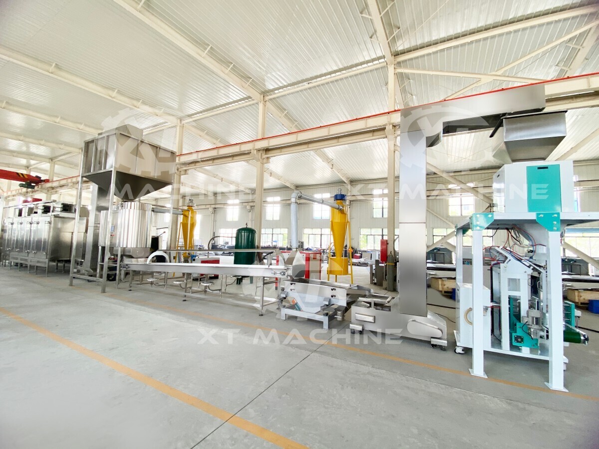 Blanched Peanut Processing Plant