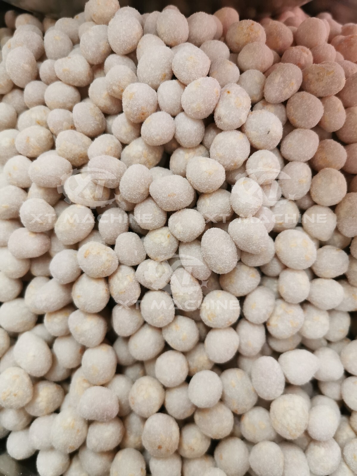 Peanut Batch Coating Machine