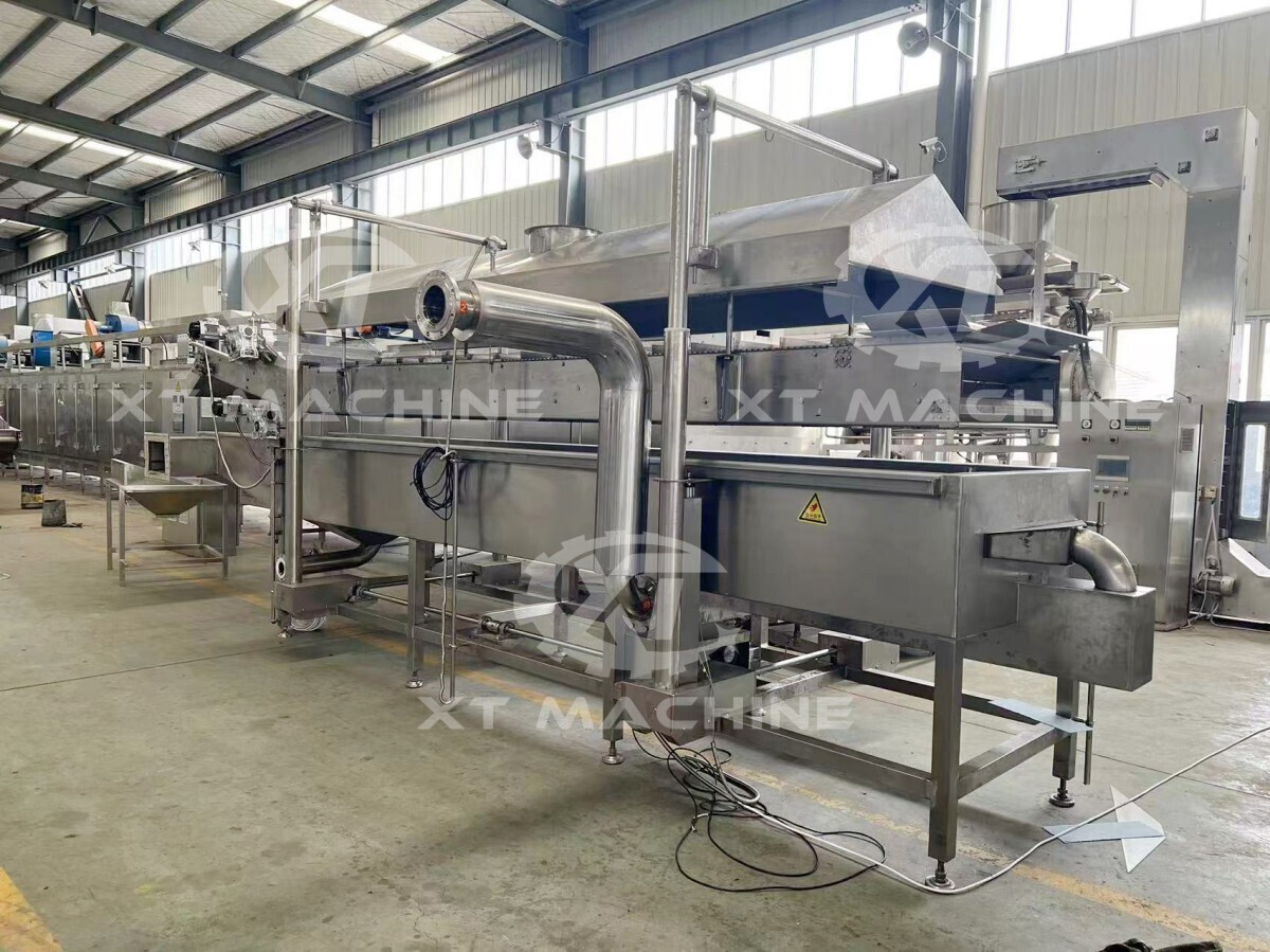 Continuous Frying Machine