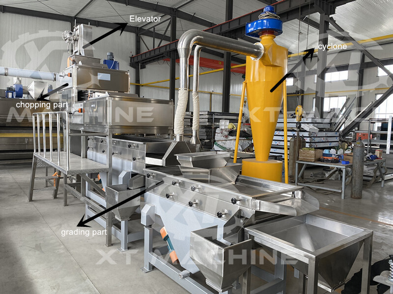 Nuts Chopping Machine