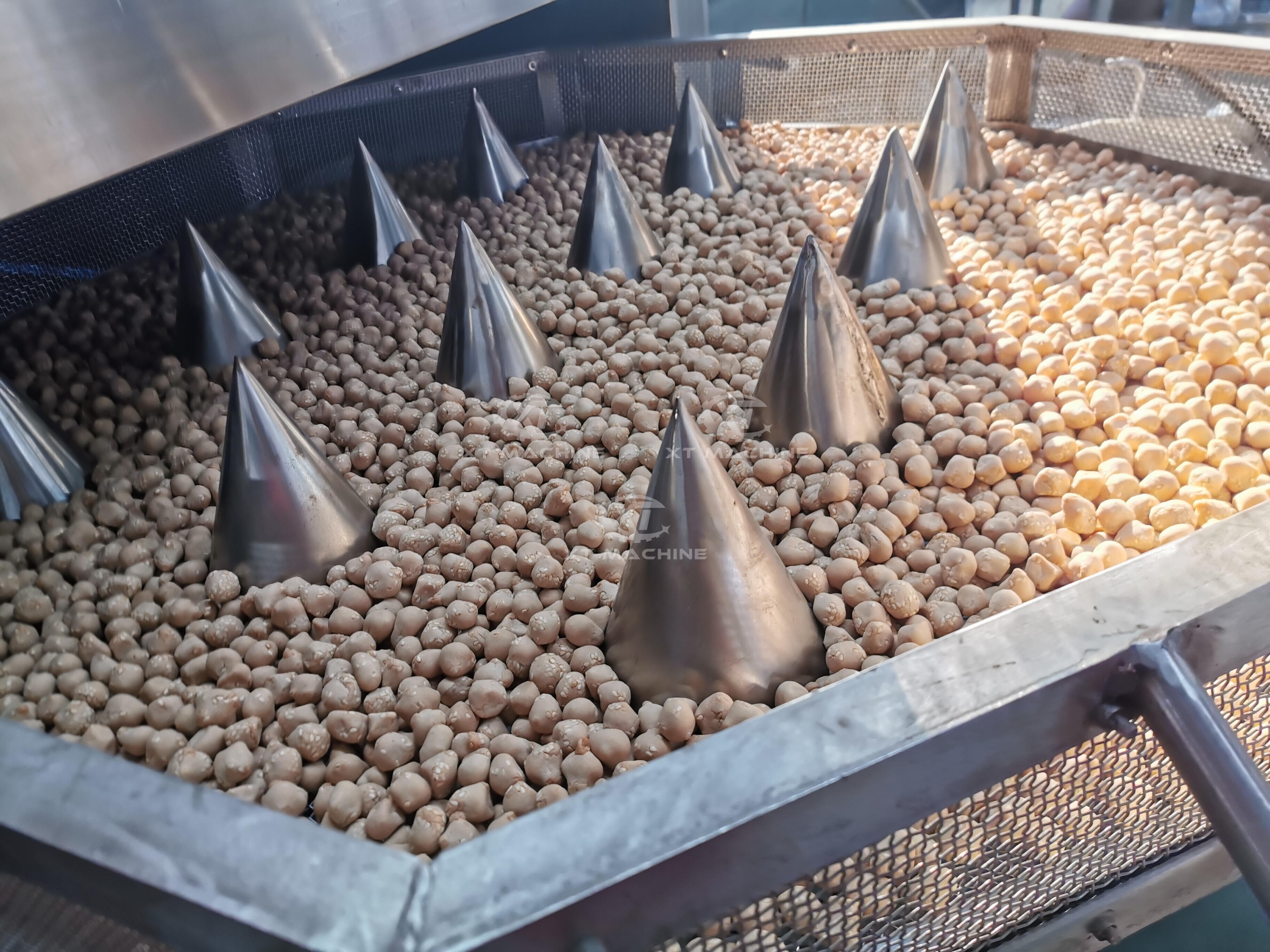 Peanut Coating and Roasting Processing Line
