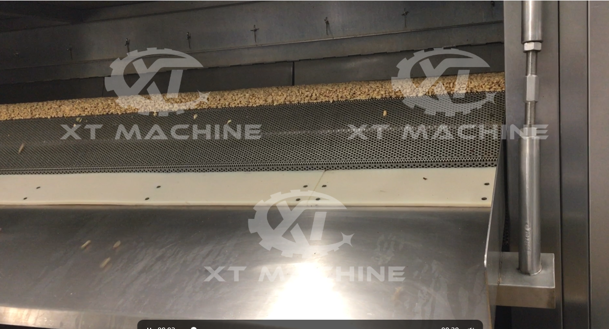 Continuous Nuts Roaster