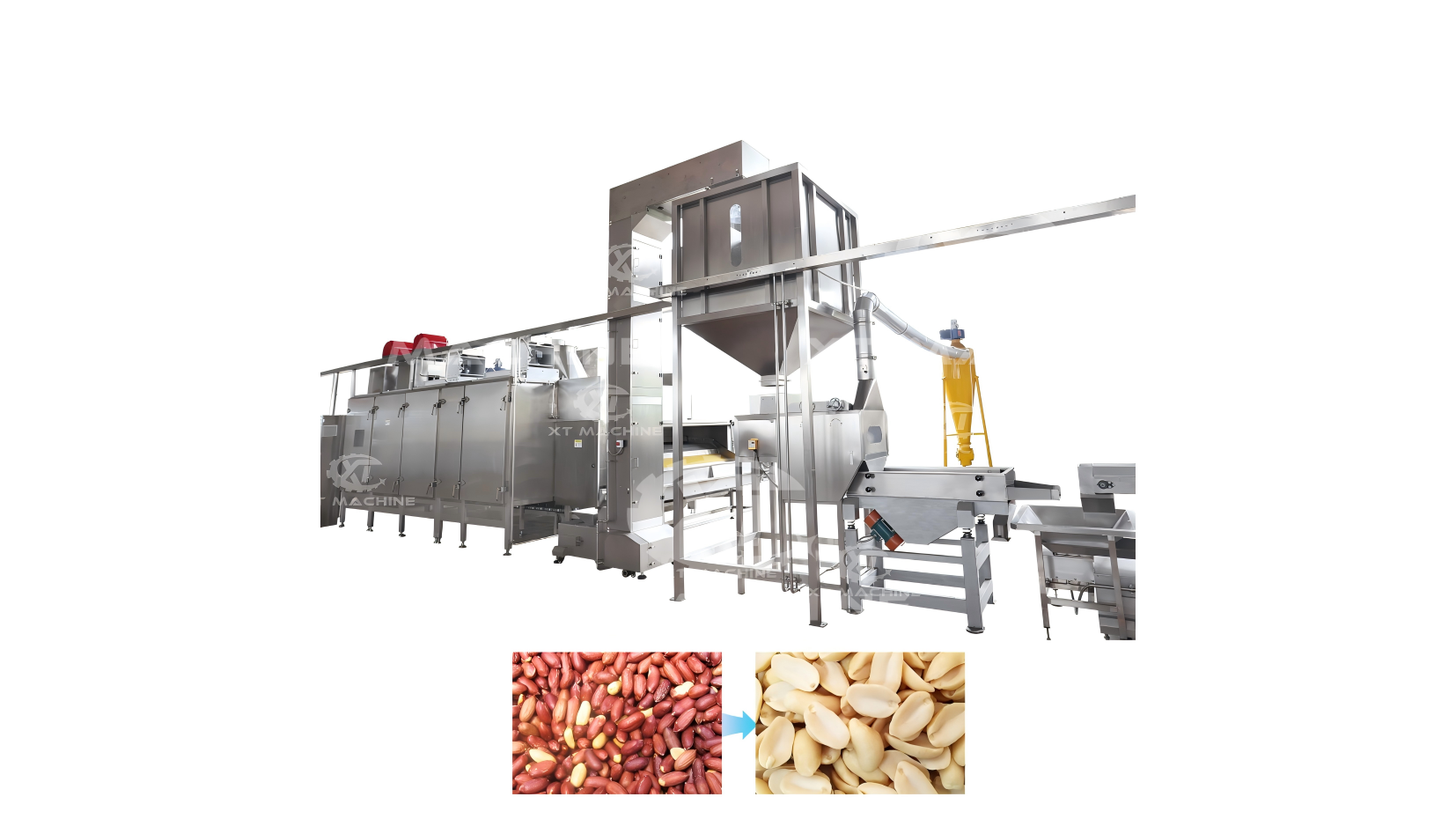 Peanut Blanching Machine(split kernel)