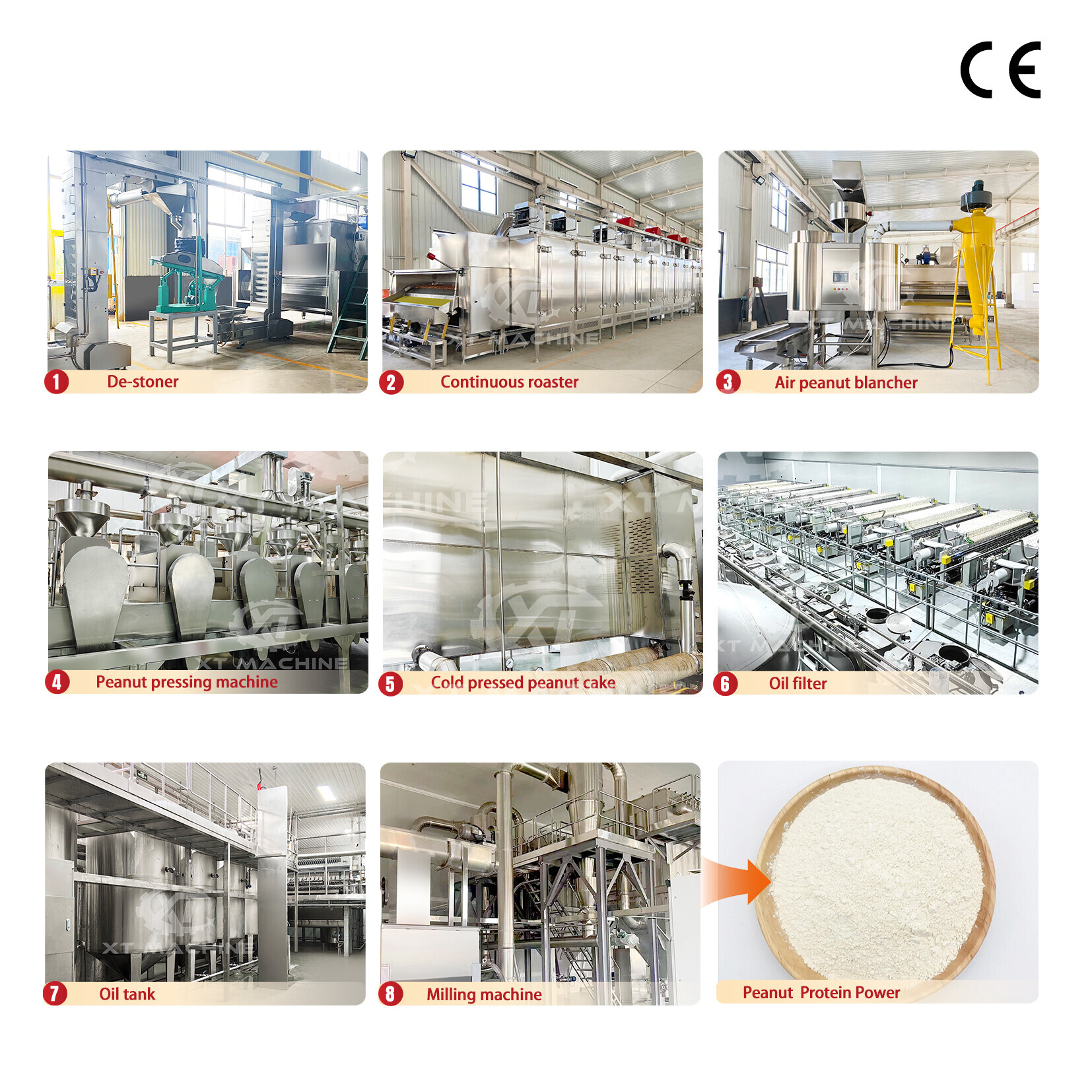 Peanut protain powder production Plant