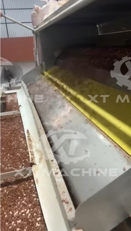 Air Peanut Roasting and blanching line 2000-3000kg/h working in Brazil