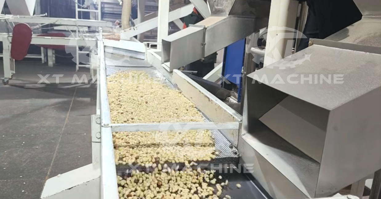Air Peanut Blanching Machine working in Argentina
