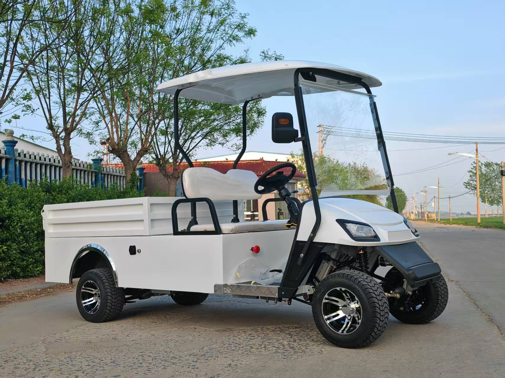 2 seats golf cart with cargo box-A