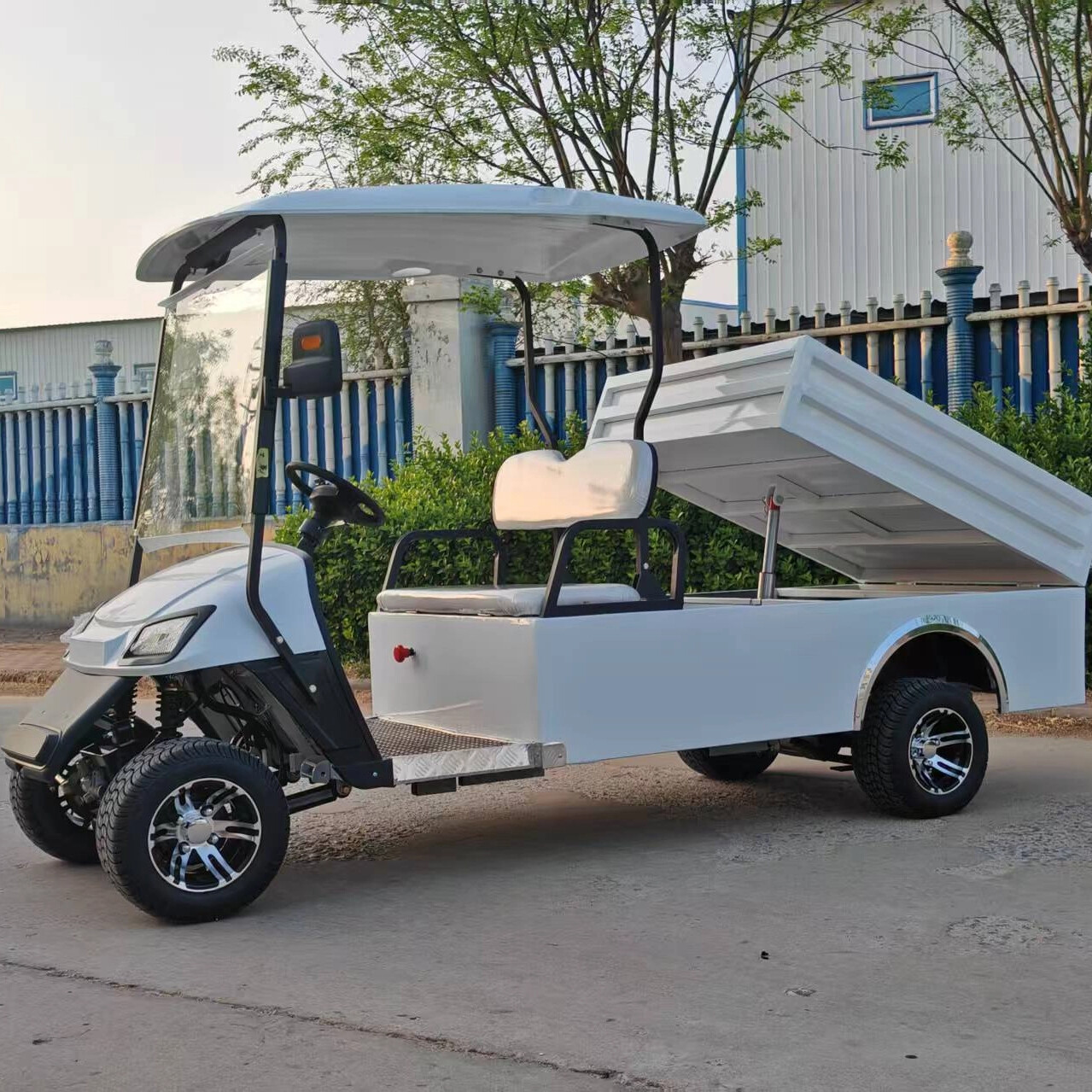 2 seats golf cart with cargo box-A