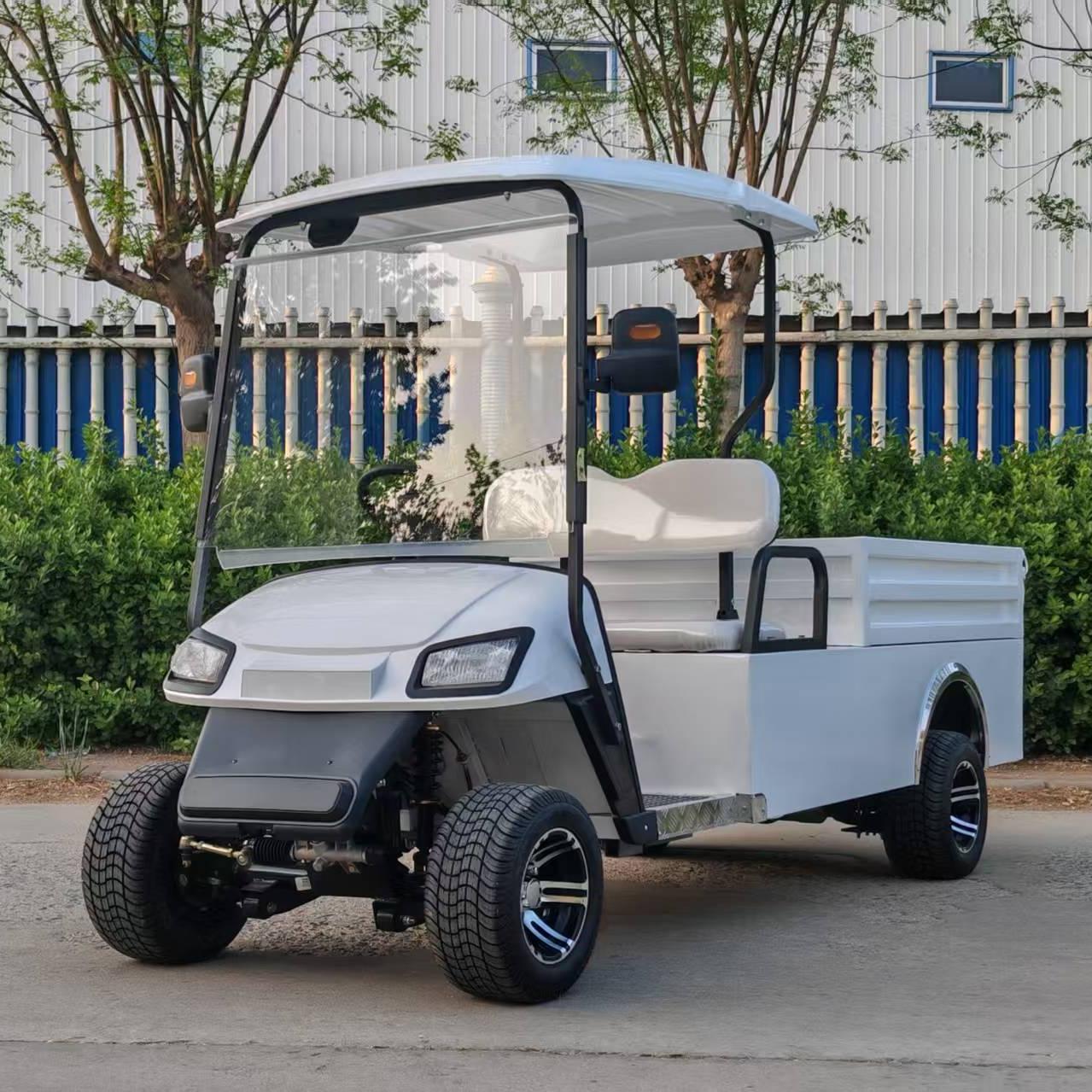 2 seats golf cart with cargo box-A