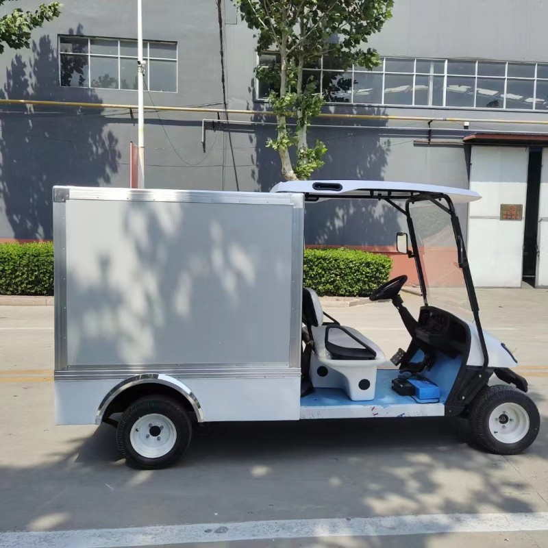 2 seats golf cart with cargo box-B
