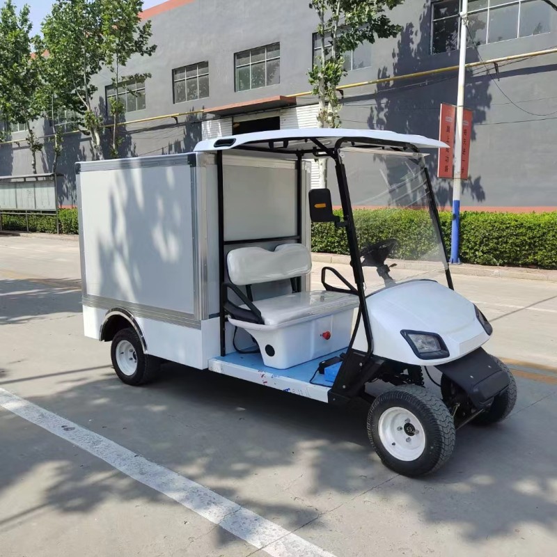 2 seats golf cart with cargo box-B