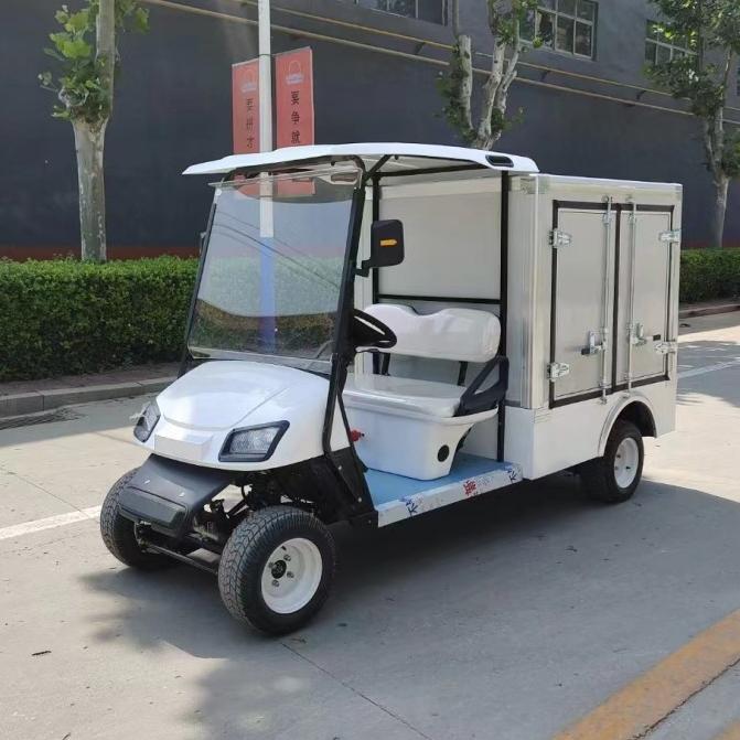 2 seats golf cart with cargo box-B