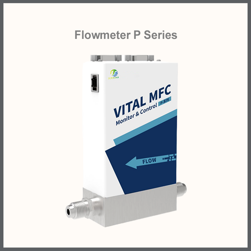 Mass Flow Controller P Series