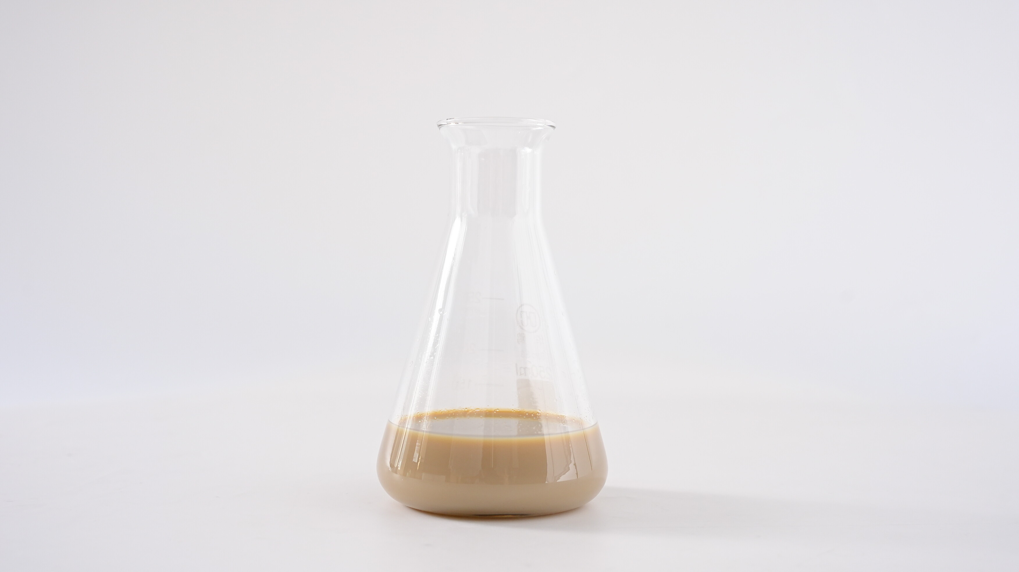 Styrene acrylic sizing agent