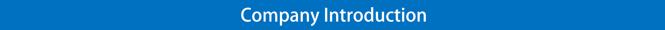 Company Introduction Company Introduction