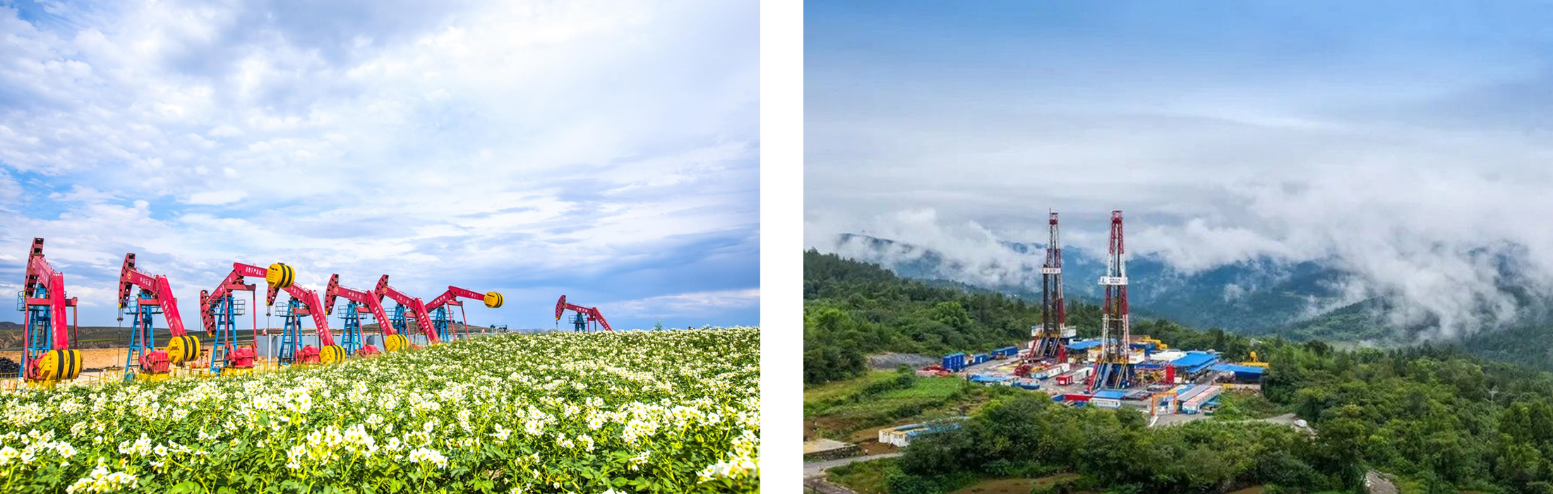 Oil extraction Oil extraction