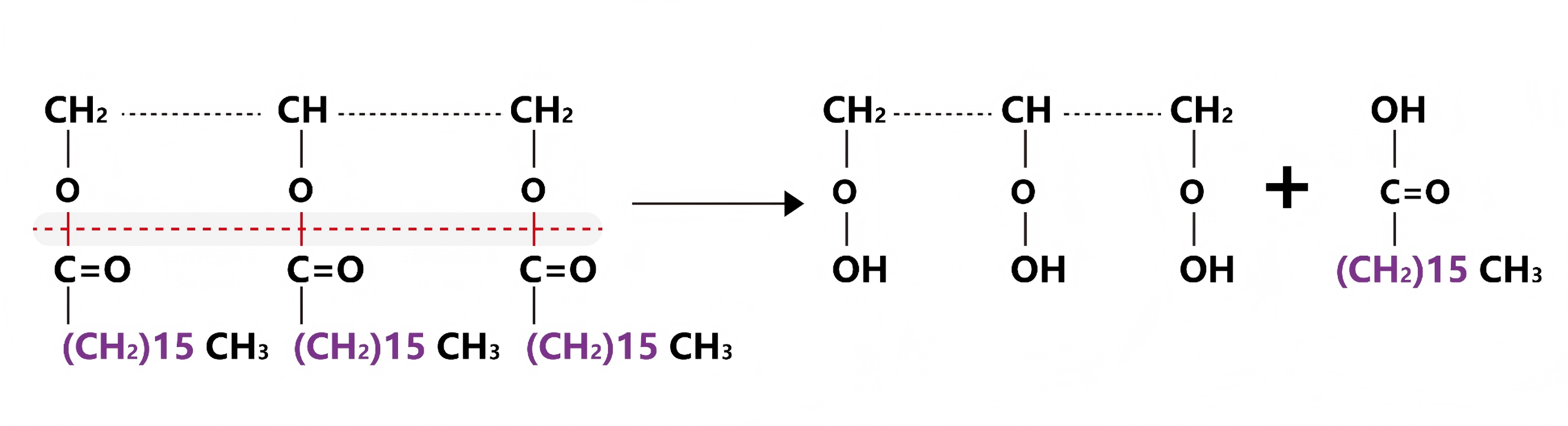 the mechanism of adhesive treatment