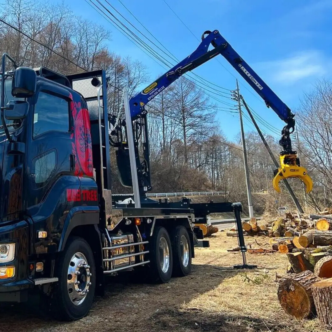 Forestry Crane Truck (Timber Crane Truck / Logging Truck)