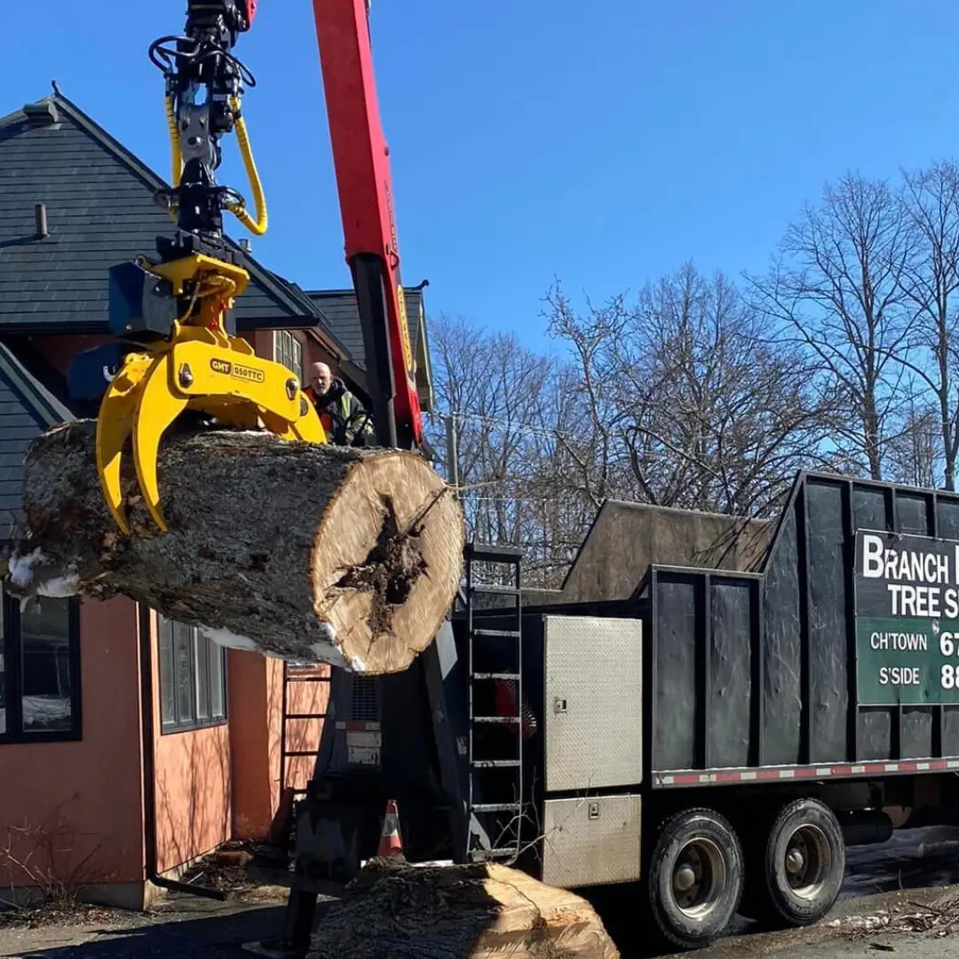 Forestry Crane Truck (Timber Crane Truck / Logging Truck)