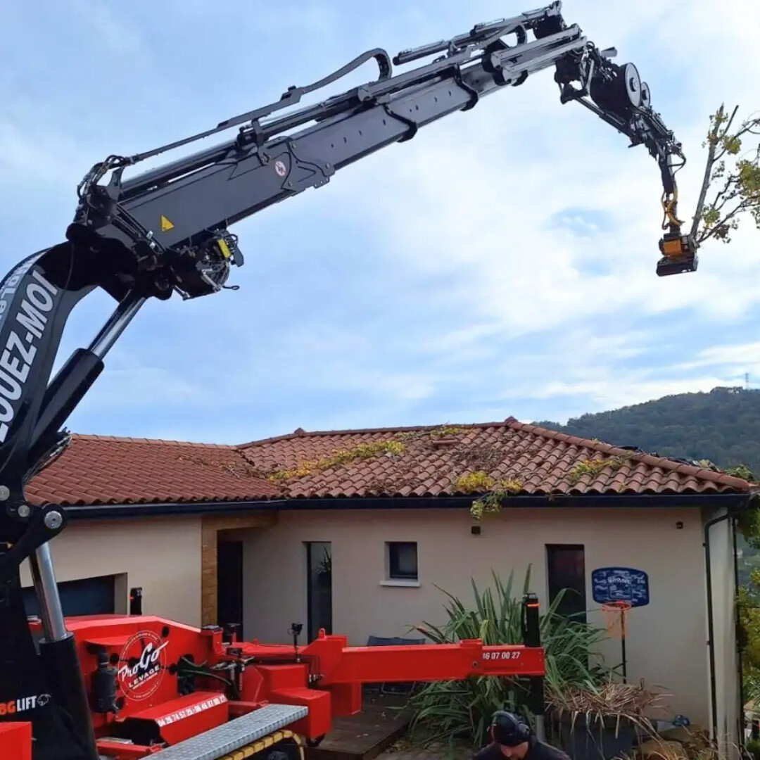 Articulated Crawler Crane (Knuckle Boom Crawler Crane)