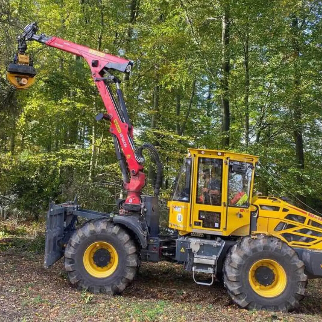 Skidder (Forestry Skidder)