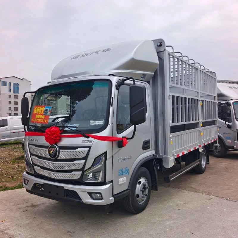 Foton Aumark S3  single-row grid-style light truck