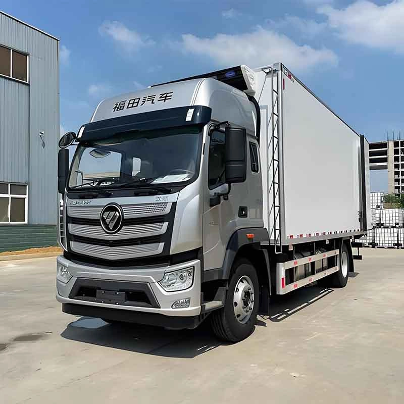 Foton Aumark S3 4.2-meter side-cab light truck