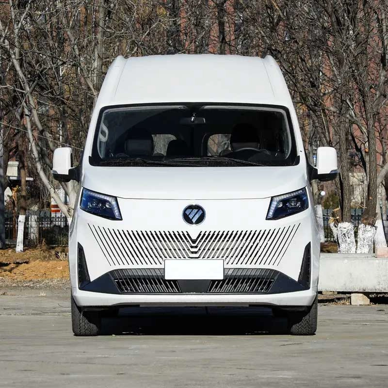 Futian Tuoyaonuo X5 All-rounder Light Commercial Vehicle - Compact and Capable of Carrying Loads