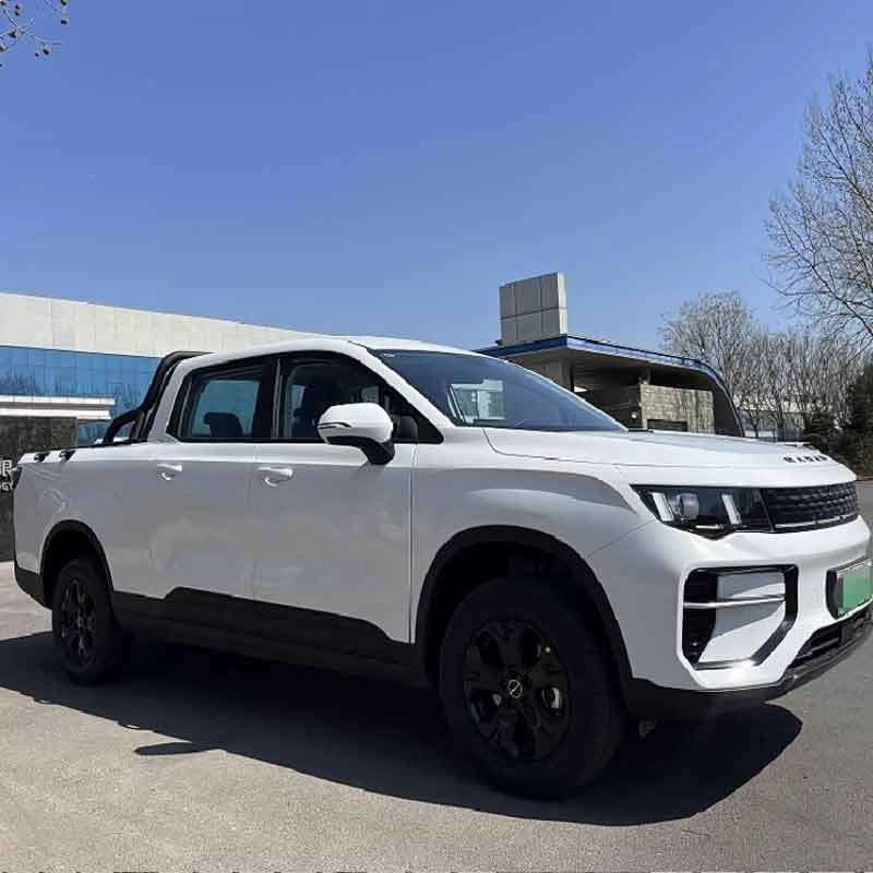 Radar King Kong EV 2025 two wheel drive