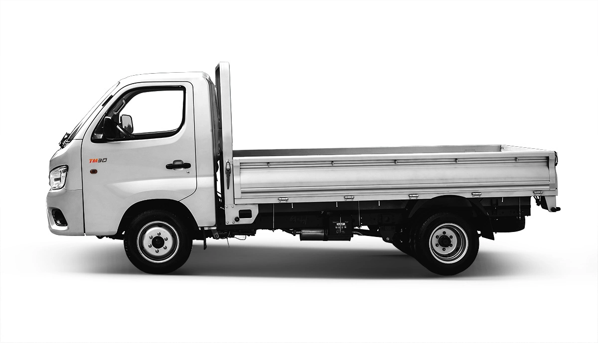 FOTON TM3 Simple Cabin