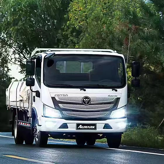 Foton Aumark S