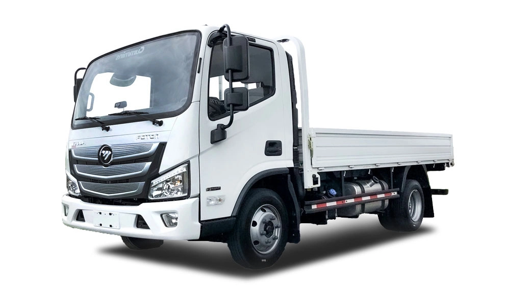Foton Aumark S