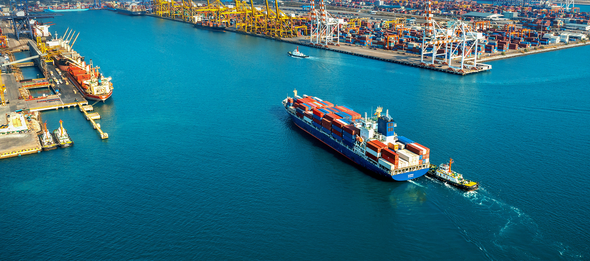 بدون عنوان-1