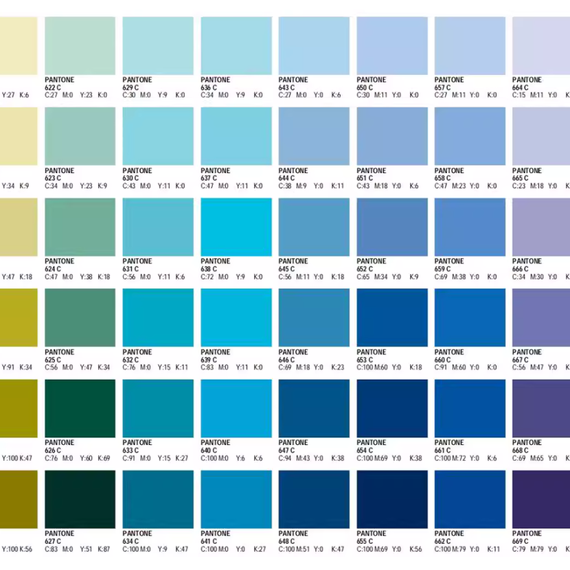 Pro Color Calibration: Your Exclusive Leather Shade, Precision Perfected