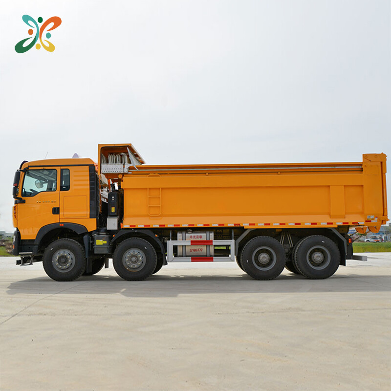 Sinotruk Howo Dump Truck 8x4