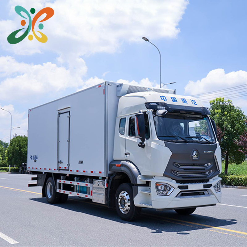 Sinotruk HOWO 4X2 Left Steer Light Van Cargo Freezer Cooling Refrigerator Truck New Condition Diesel Fuel Euro 3 Emission