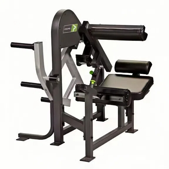 P09 Low Back Extension