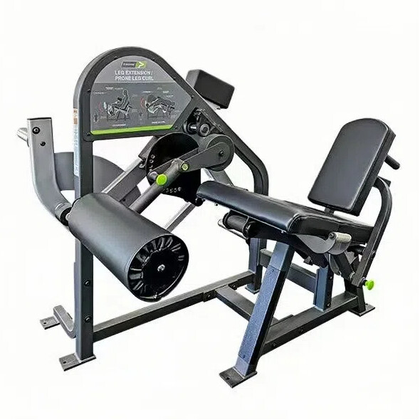 P08 Leg Ext/Leg Curl Combo