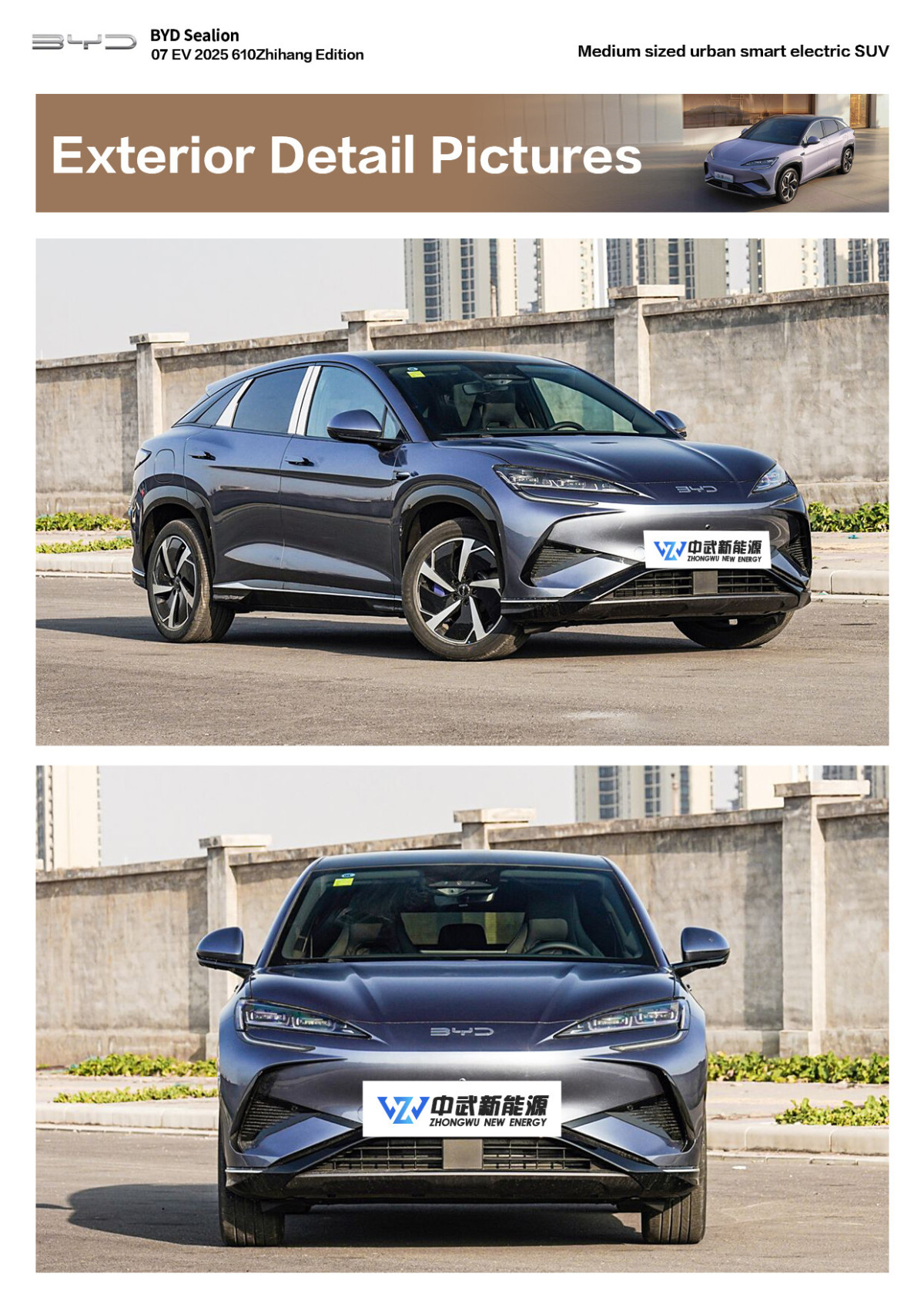 sealion (3) sealion (3)