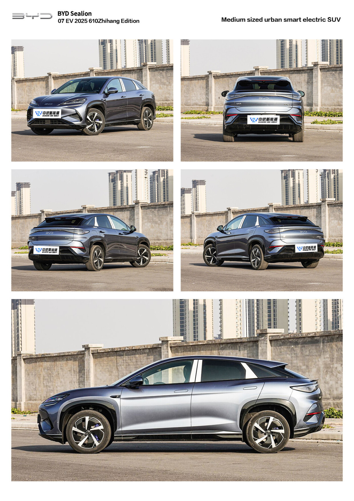 sealion (4) sealion (4)