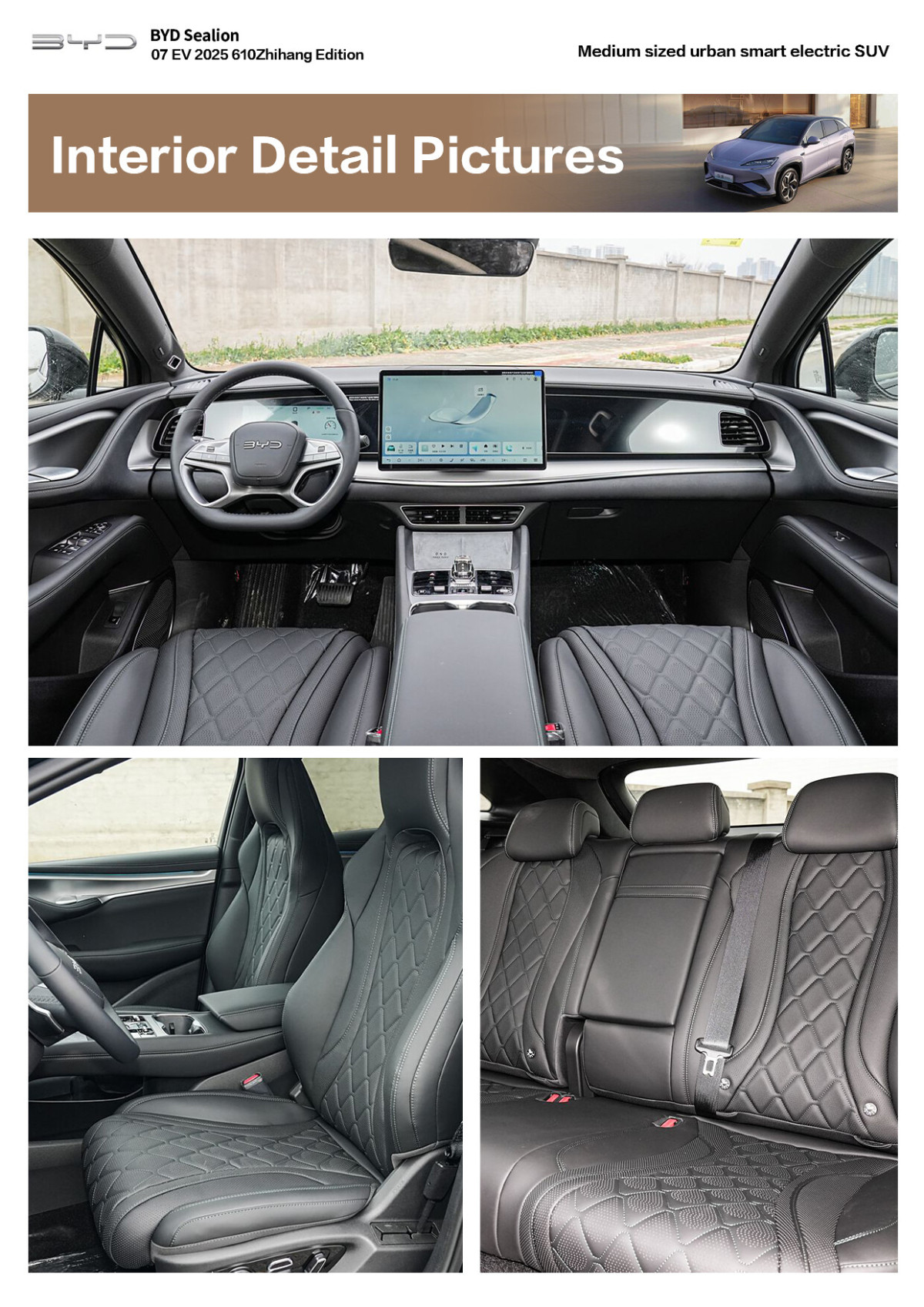 sealion (5) sealion (5)