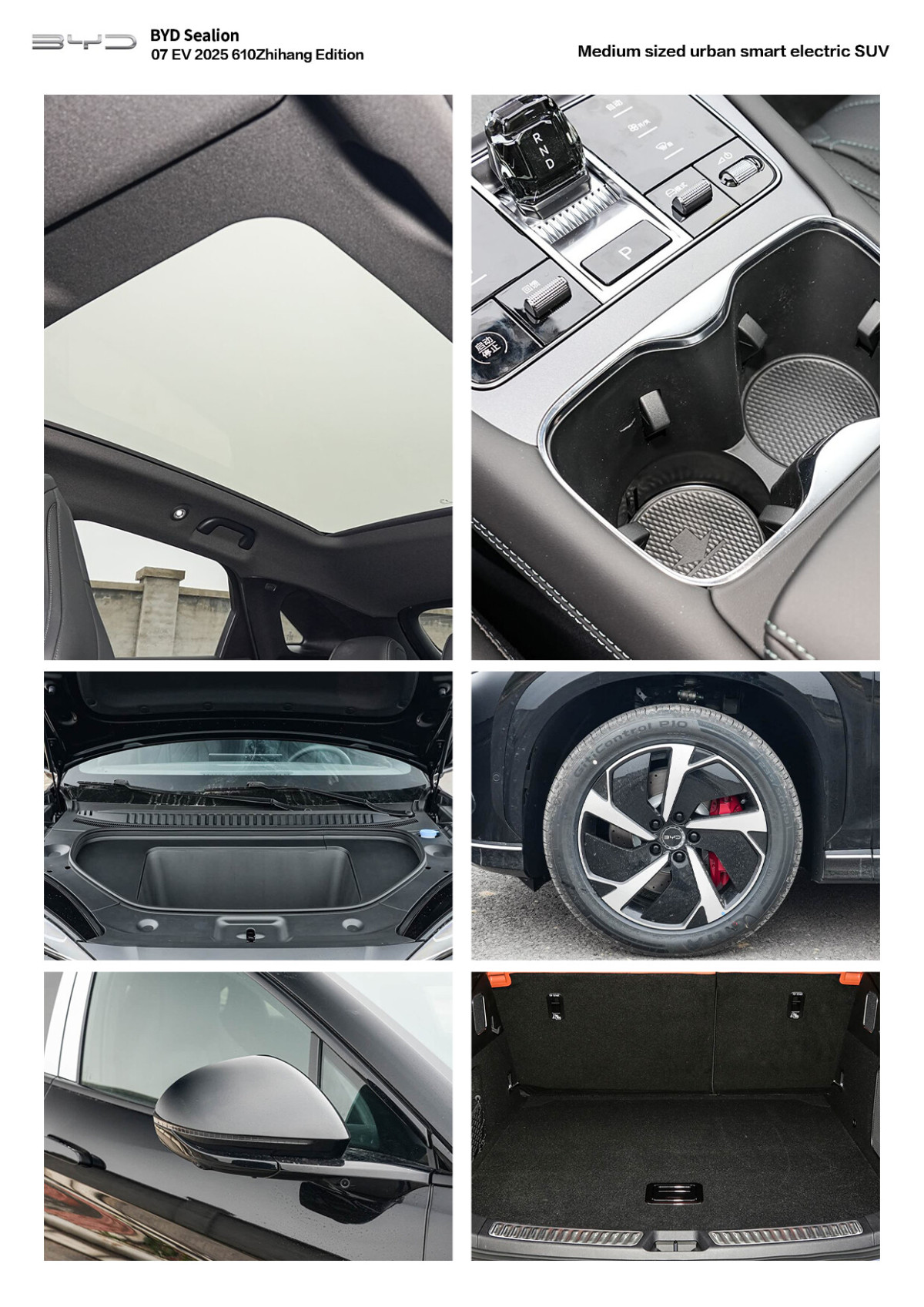 sealion (6) sealion (6)