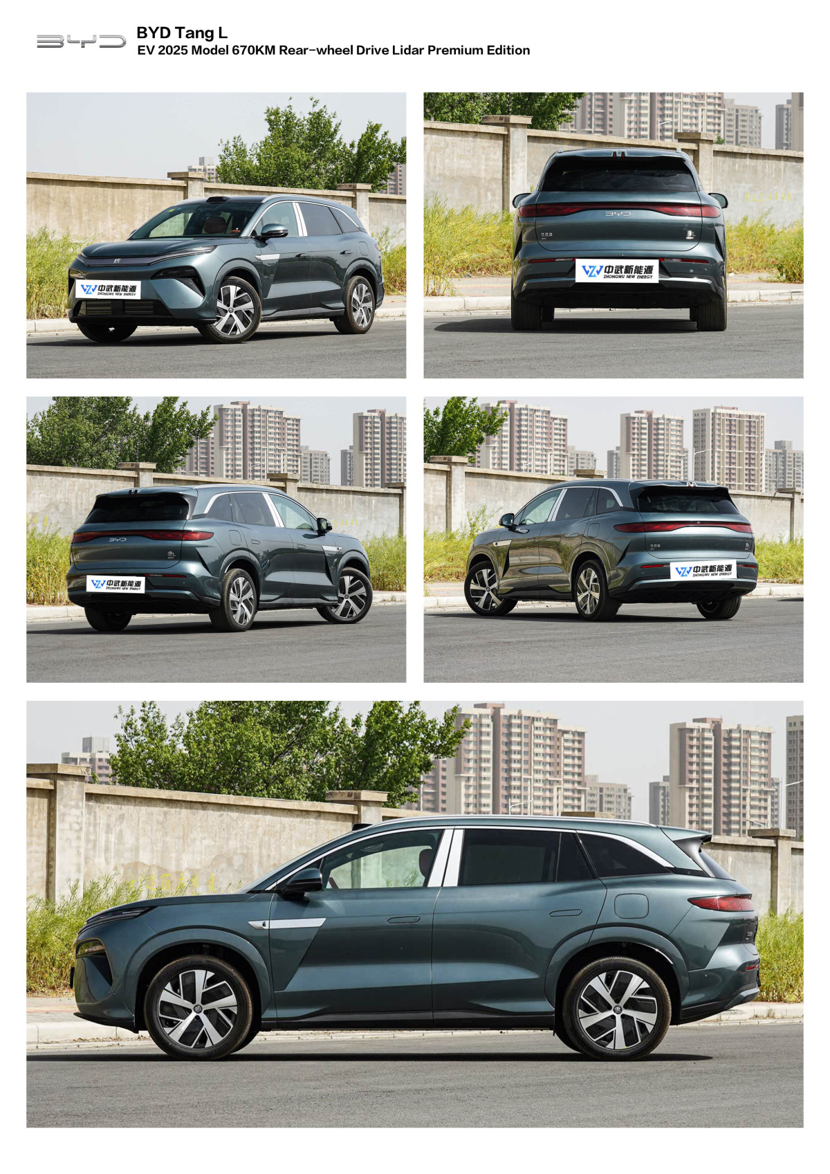 tang L (11) tang L (11)