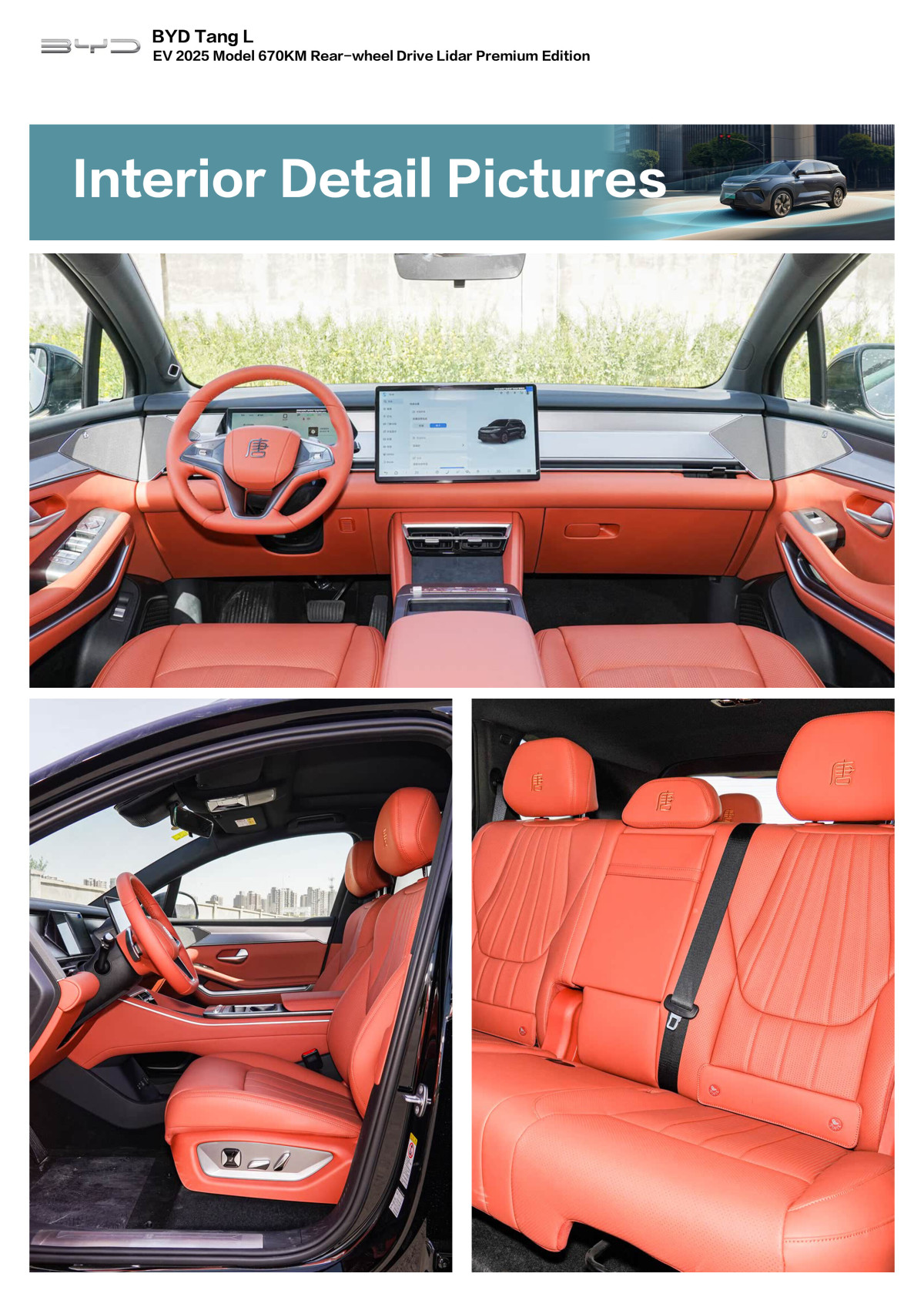 tang L (12) tang L (12)