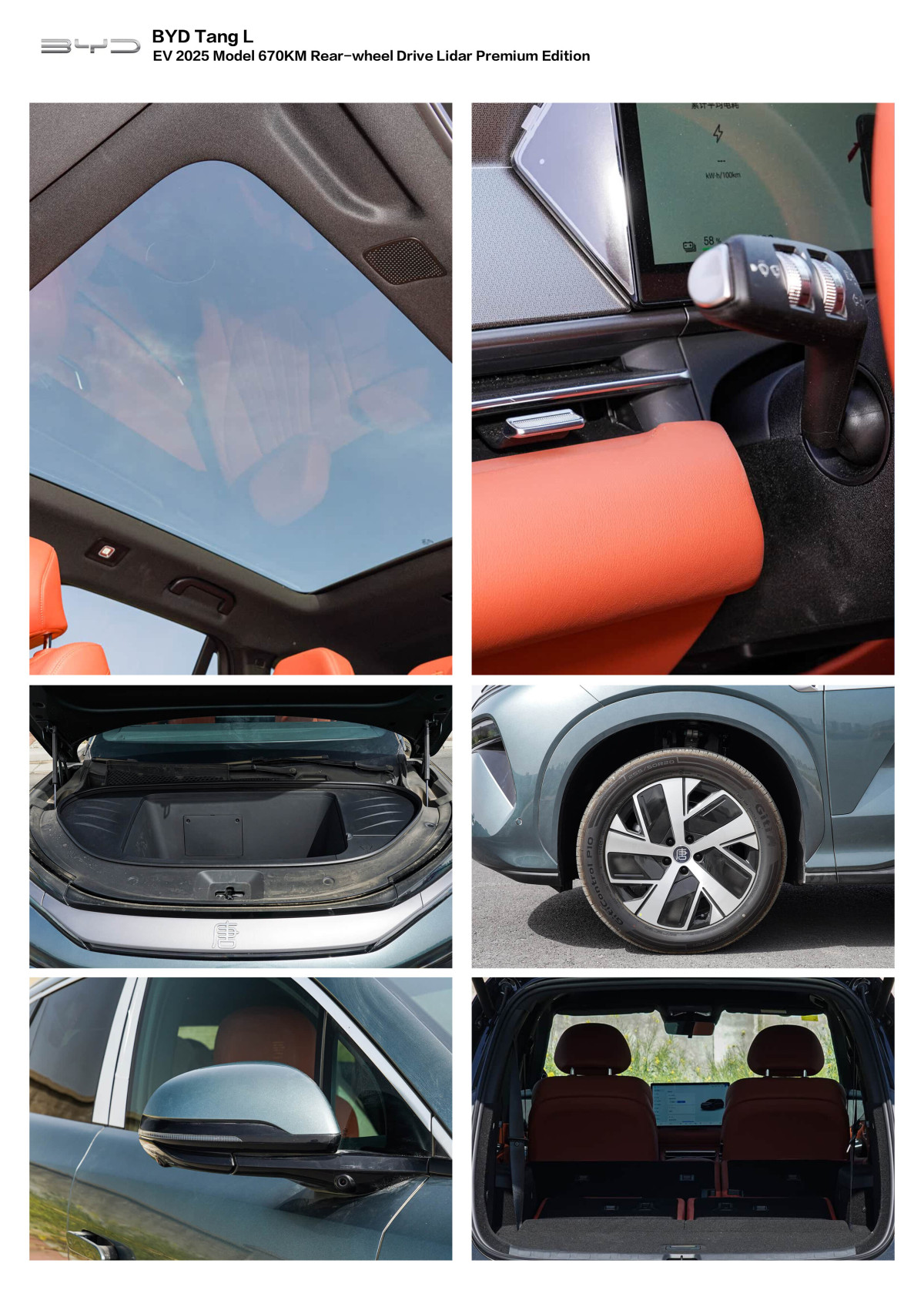 tang L (13) tang L (13)