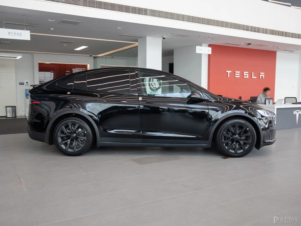 Model X